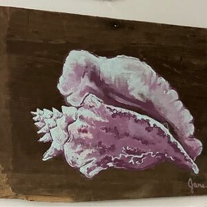 Pink and White Seashell Wall Art by Jane McNeal